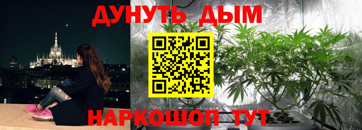 Конопля семена Ростов Великий